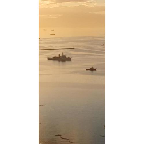 Birch Tower by the Bay