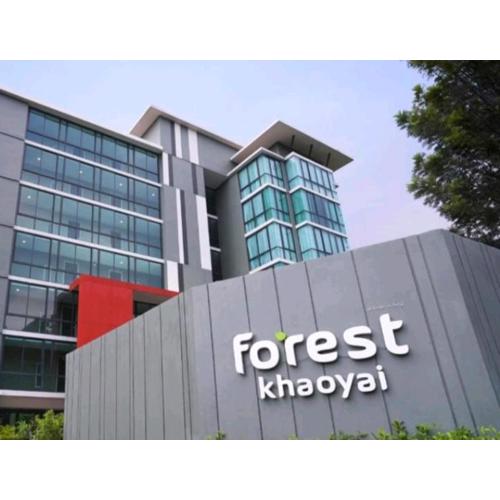 Bird's nest forest khaoyai