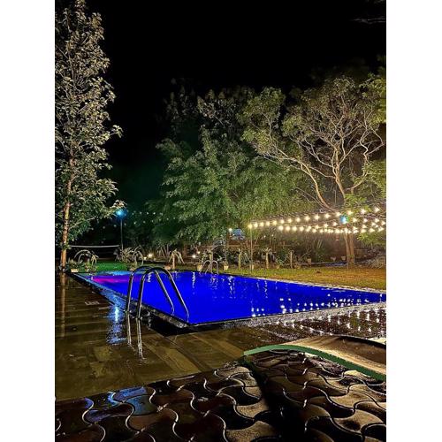 Birds Paradise Inn
