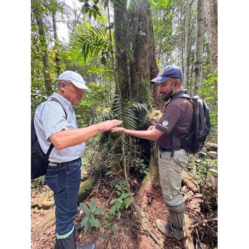 Birds rock villa Sinharaja