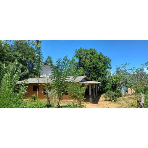 Birds Sanctuary Home Stay