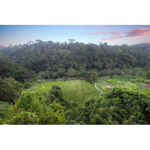 Black Penny Villas Ubud