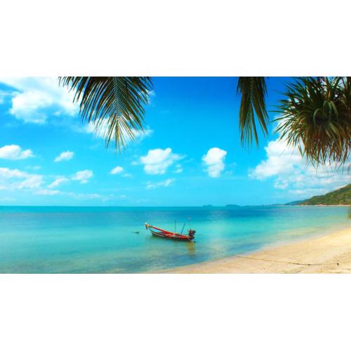 Black & White Bungalows