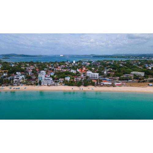 Blackpool Complex - Lavender