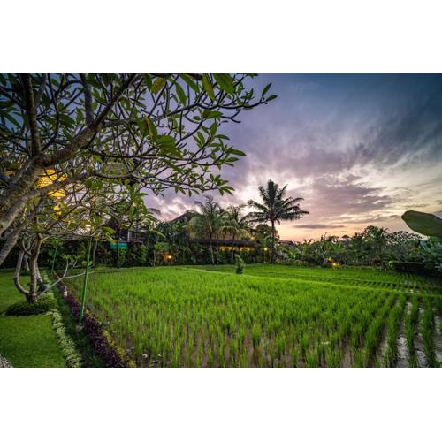 Bliss Ubud Luxury Villa