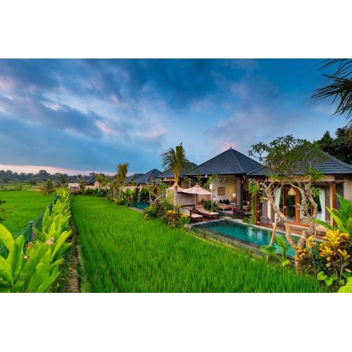Bliss Ubud Spa Resort
