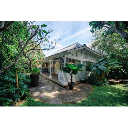 Bloom Bungalows Canggu