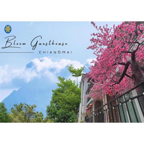 Bloom Guesthouse