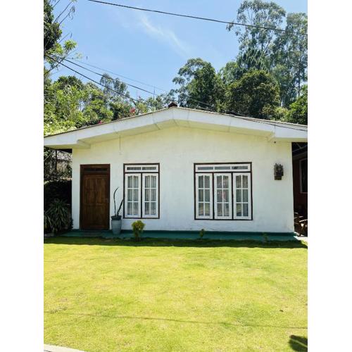 Bloom house homestay