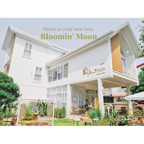 Bloomin' Moon hostel & cafe, Chiang Mai Old Town