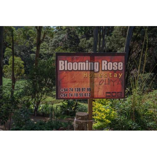 Blooming Rose Homestay