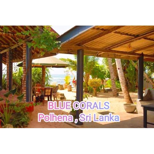 Blue Corals Beach Bungalow