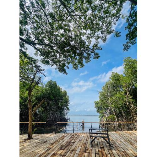 Blue Mangrove lagoon by serenity