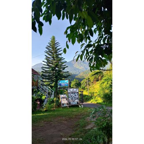 Blue Mountain Cottage