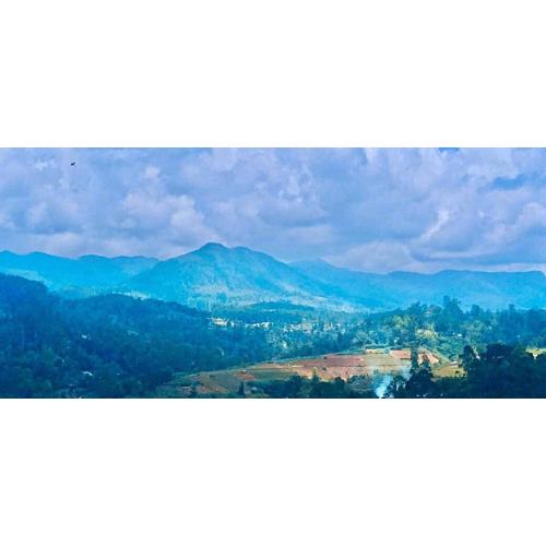 Blue mountain view resort