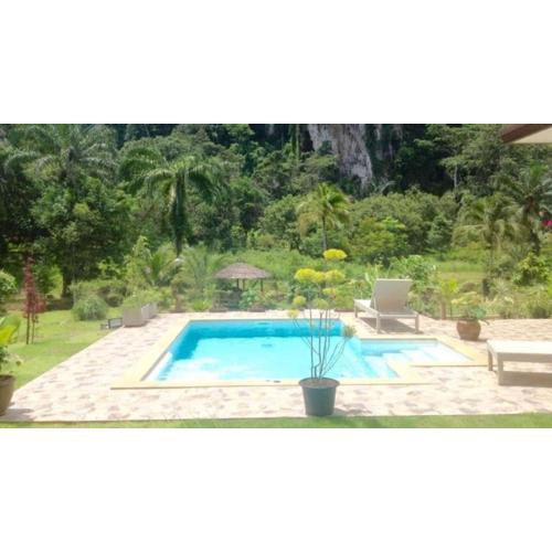 Blue River 2 bedrooms Pool villa