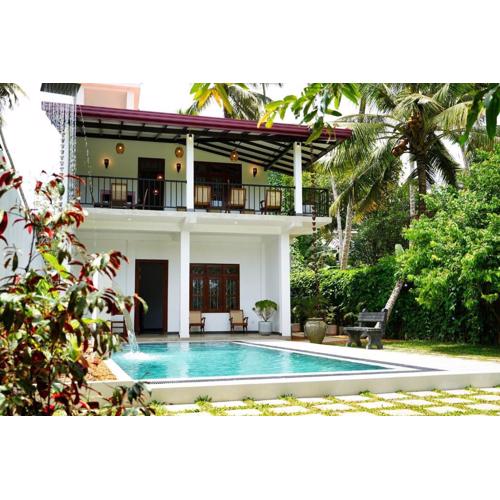 Bluelip Ceylon Weligama