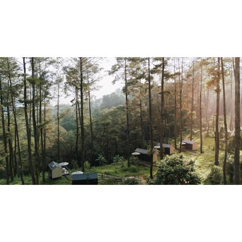 Bobocabin Pacet, Mojokerto