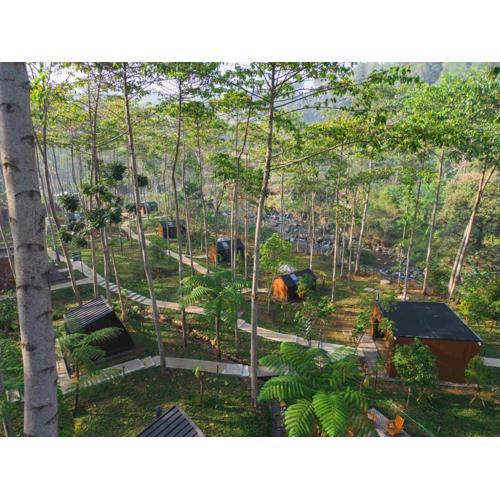 Bobocabin The Tavia, Puncak