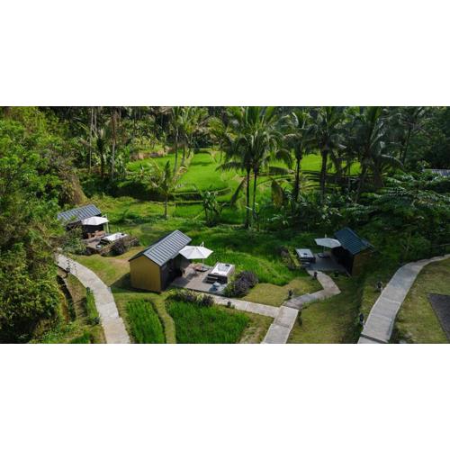 Bobocabin Ubud, Bali