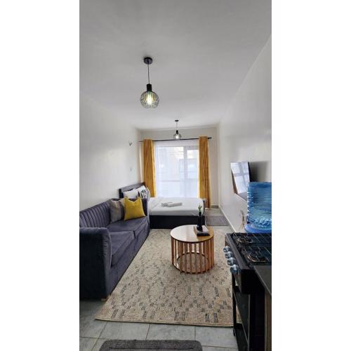 Bobo's Spacious Studio Apartment