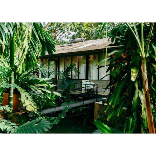 Boho Jungle Studios