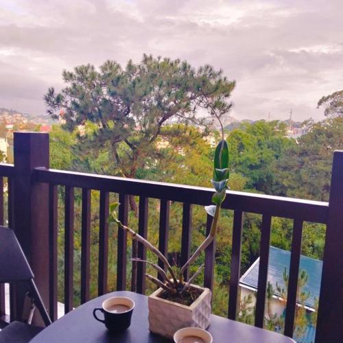 Brenthill Condo Baguio 1BR Mountain & SM View
