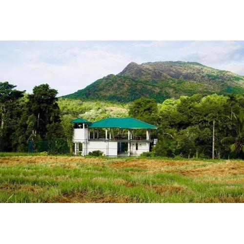 Brook View Belihuloya Leisure Resort