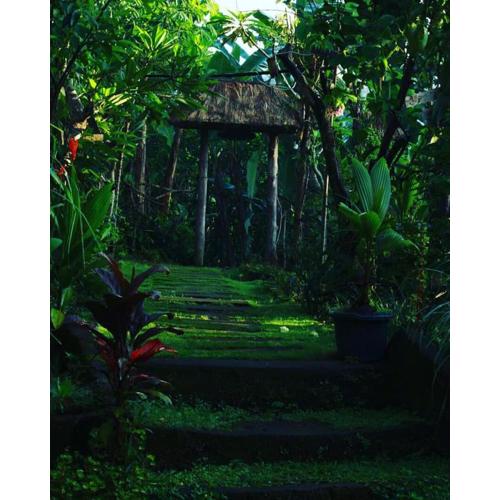 bucu hidden guest house, and meditation center