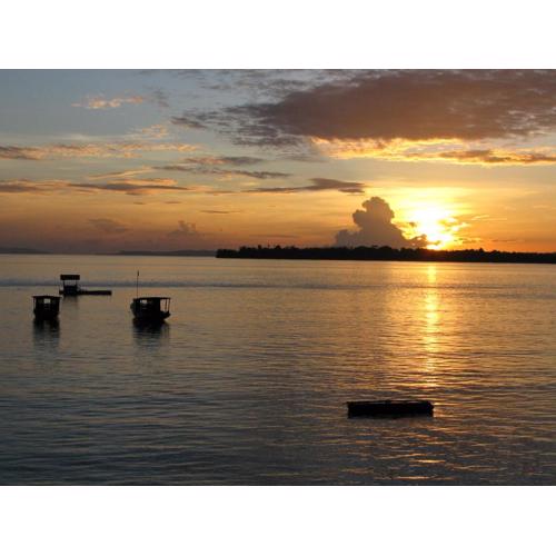 Bunaken Cha Cha Nature Resort