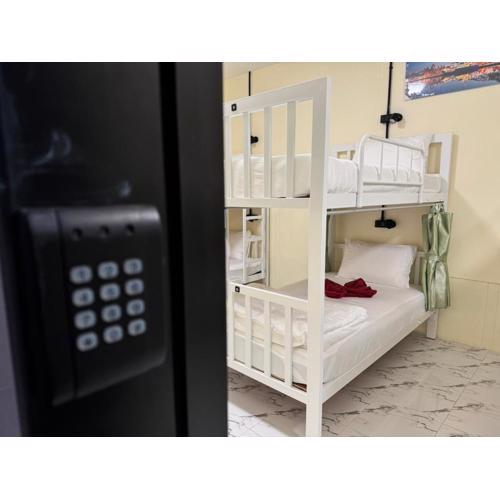 Bunk Bed Hostel Khao Sok