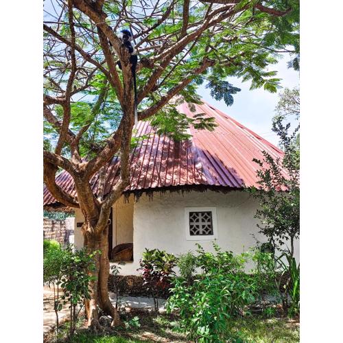 Bushbaby Cottage Diani Beach - with Starlink Highspeed Internet !!!!