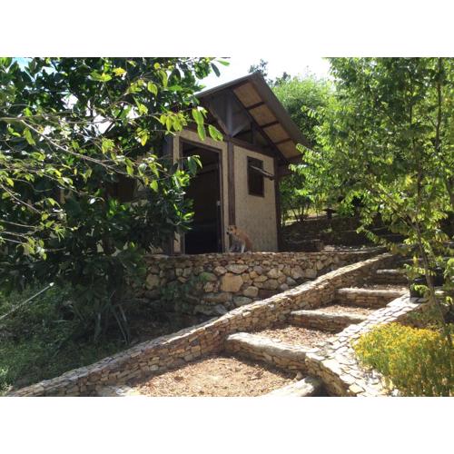 Busuanga Backpackers