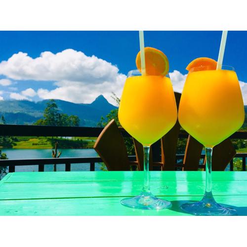 Butterfly Mountain Lake Side