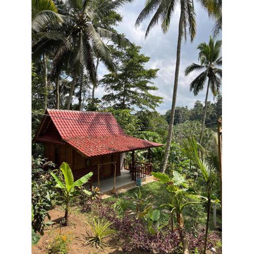 Cabin D Bendul and Warung