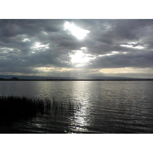 Cactus Eco Camp and Lodge