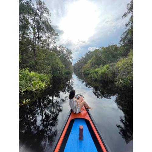 Cakrawala Borneo Tour Tanjung puting