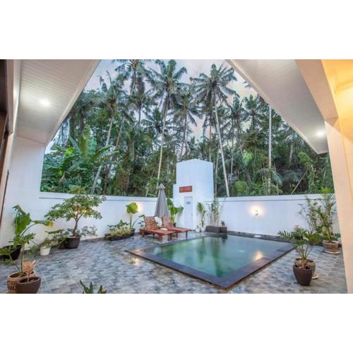 Calm & Cozy Jungle Retreat Ubud
