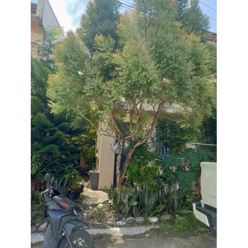 Camella Davao-Airport Hub