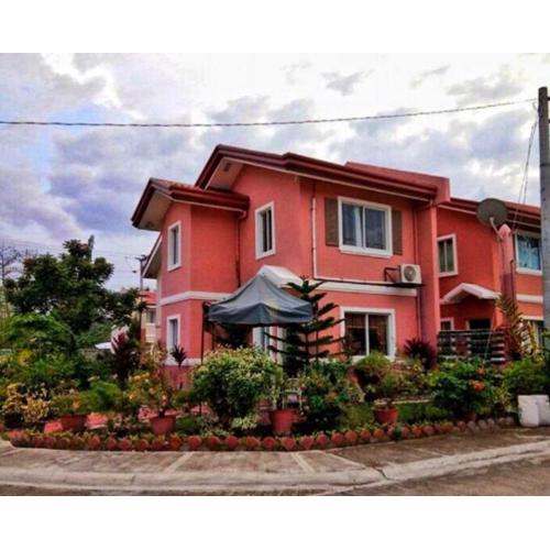 Camella gensan transient