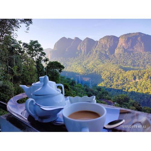 Camellia Mountain Villa