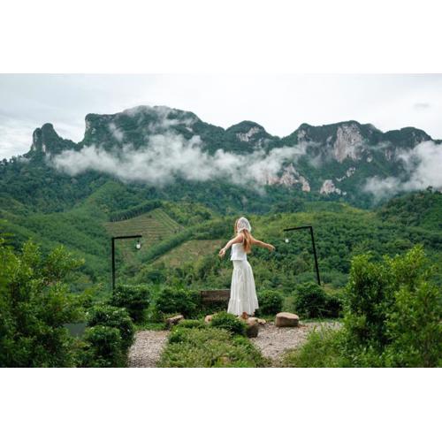 Camping phutajoy Khaosok แคมป์ปิ้งภูตาจ้อยเขาศก