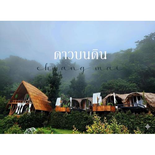 ดานบนดินCamping