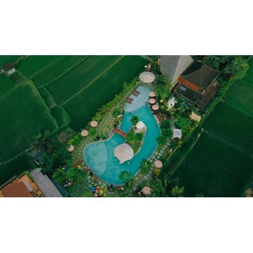 Candy Villa by GenuineHost