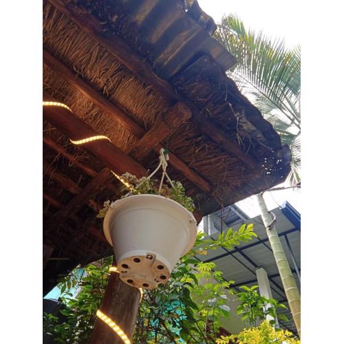 Cane Homestay