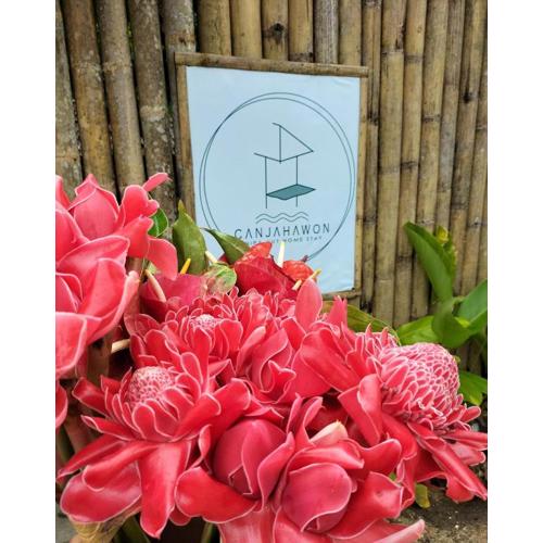 Canjahawon Nipa Hut Homestay