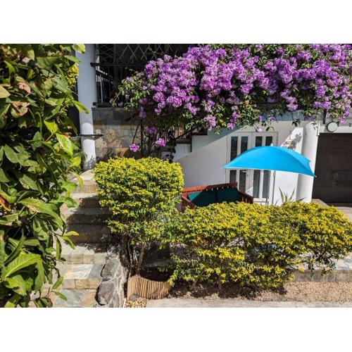 Captain's Quarters Studio