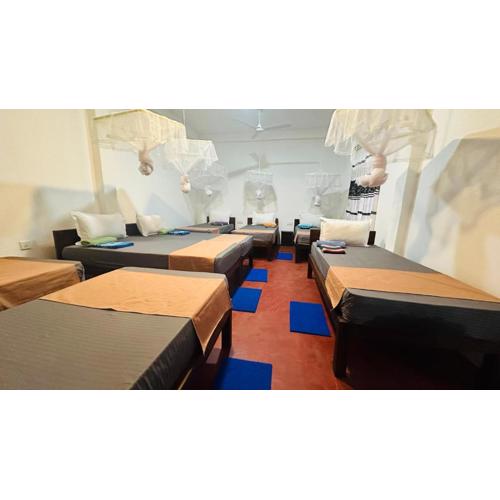 Cashew nut land hostel