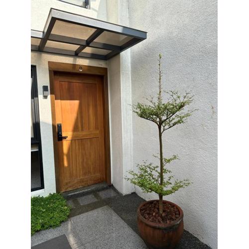 Casita Benito Loft D