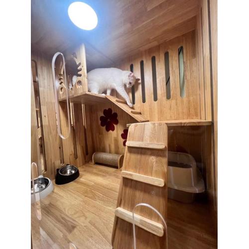 cat hotel hatyai cat only